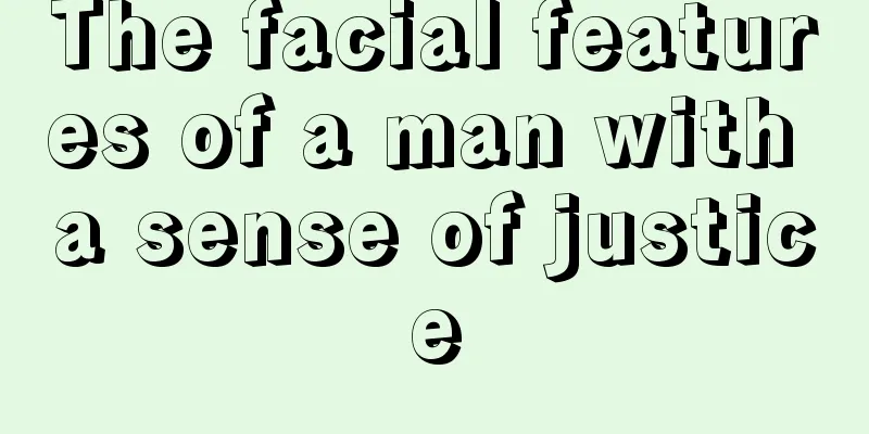 The facial features of a man with a sense of justice