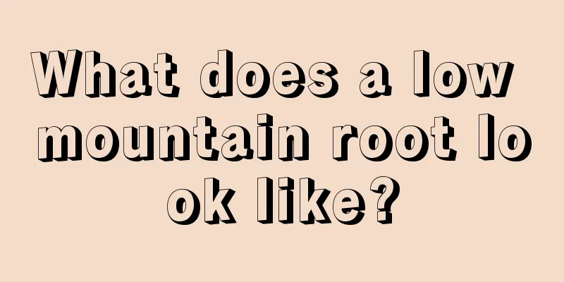 What does a low mountain root look like?