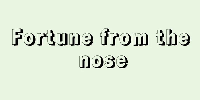 Fortune from the nose