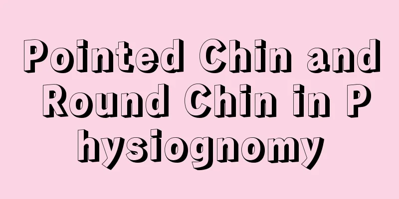 Pointed Chin and Round Chin in Physiognomy