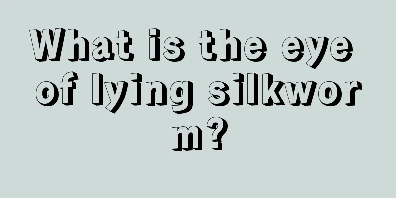 What is the eye of lying silkworm?