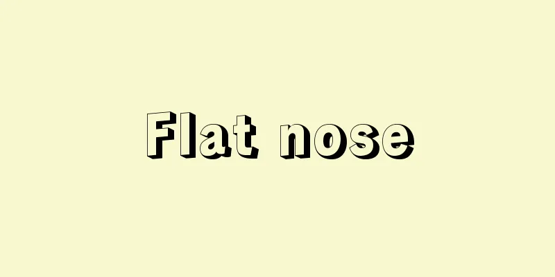 Flat nose