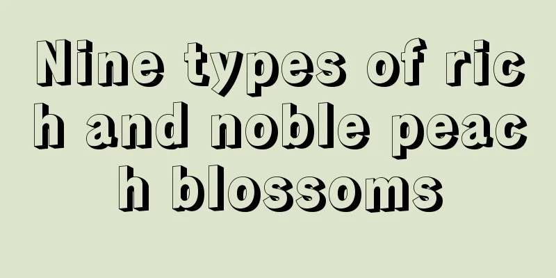 Nine types of rich and noble peach blossoms