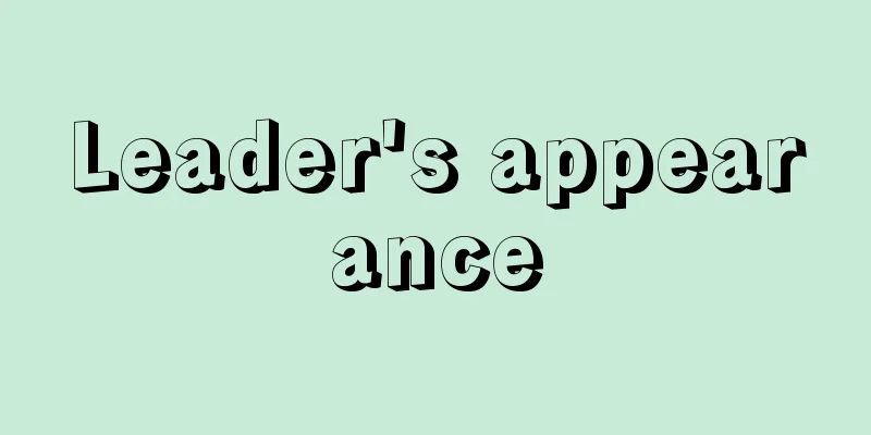 Leader's appearance