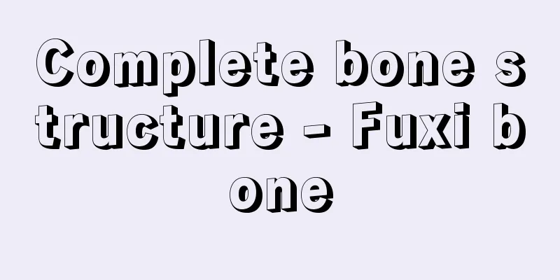 Complete bone structure - Fuxi bone