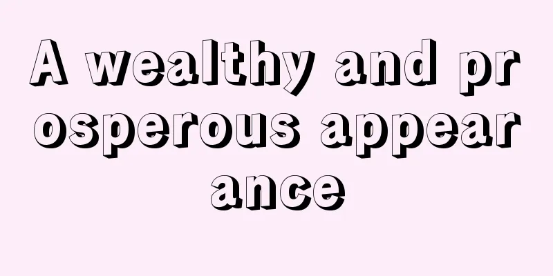 A wealthy and prosperous appearance
