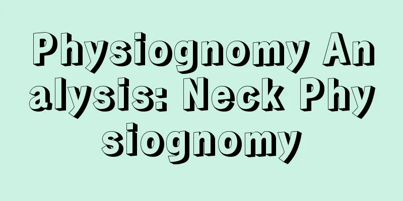 Physiognomy Analysis: Neck Physiognomy