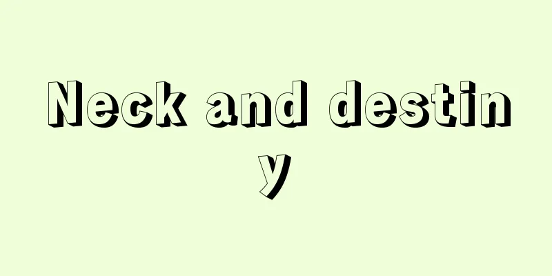 Neck and destiny
