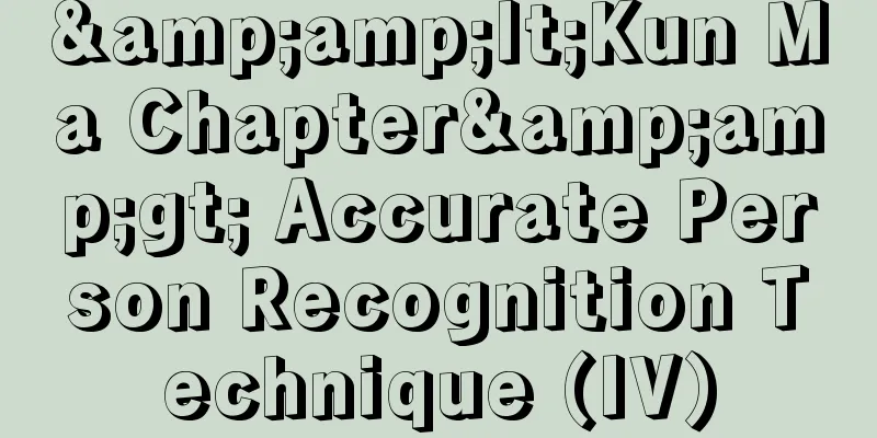 &amp;lt;Kun Ma Chapter&amp;gt; Accurate Person Recognition Technique (IV)