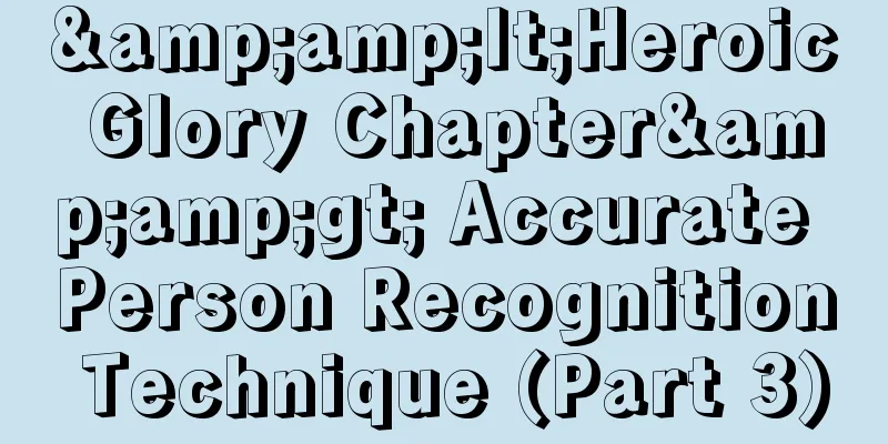 &amp;lt;Heroic Glory Chapter&amp;gt; Accurate Person Recognition Technique (Part 3)