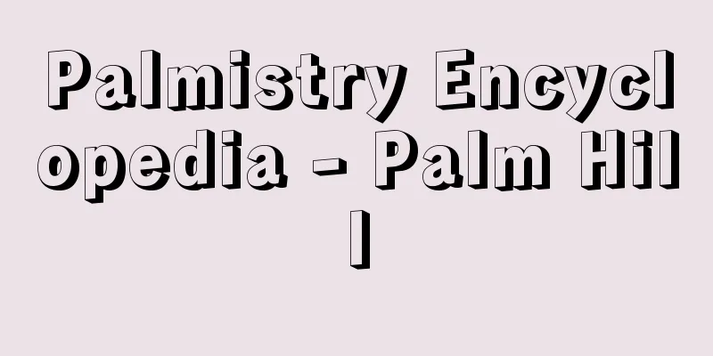 Palmistry Encyclopedia - Palm Hill