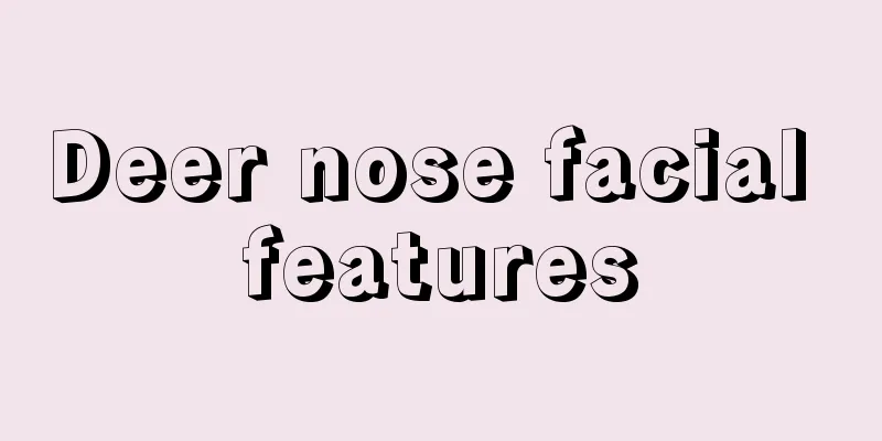 Deer nose facial features