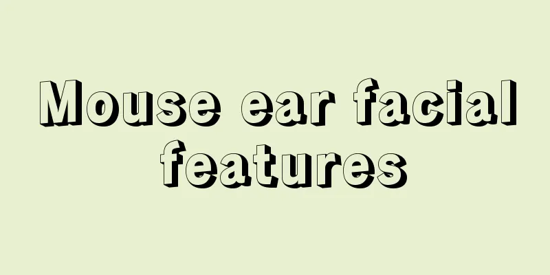 Mouse ear facial features