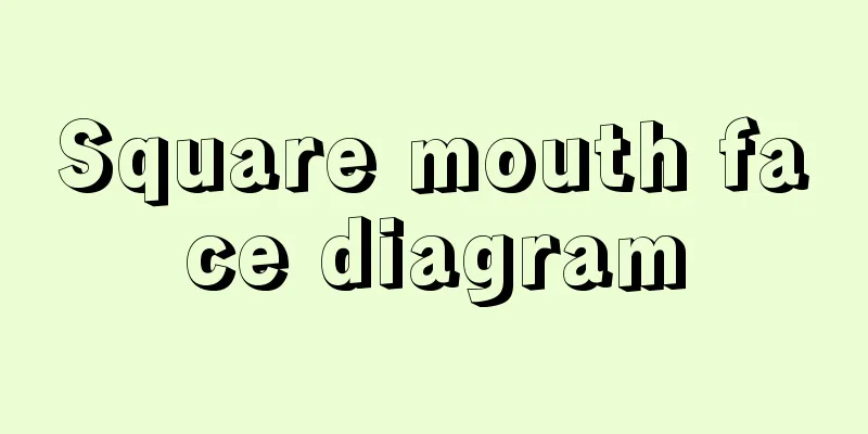 Square mouth face diagram