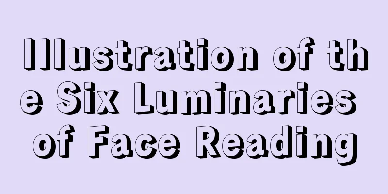 Illustration of the Six Luminaries of Face Reading
