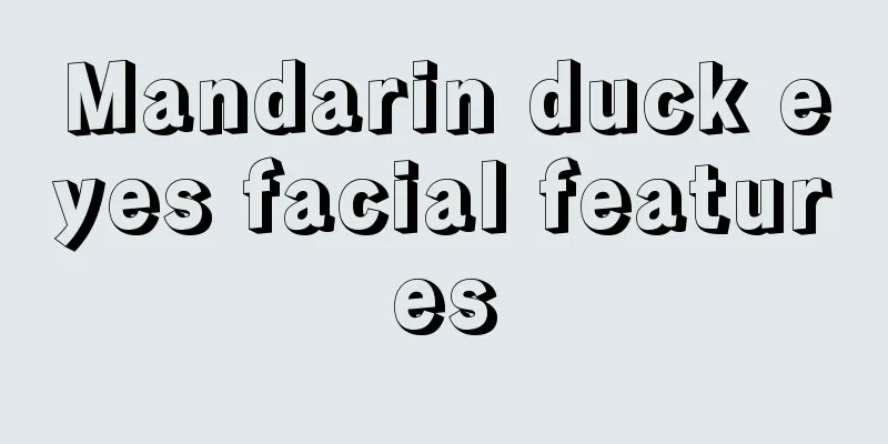 Mandarin duck eyes facial features