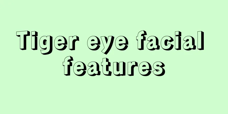Tiger eye facial features