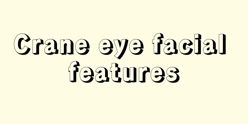 Crane eye facial features