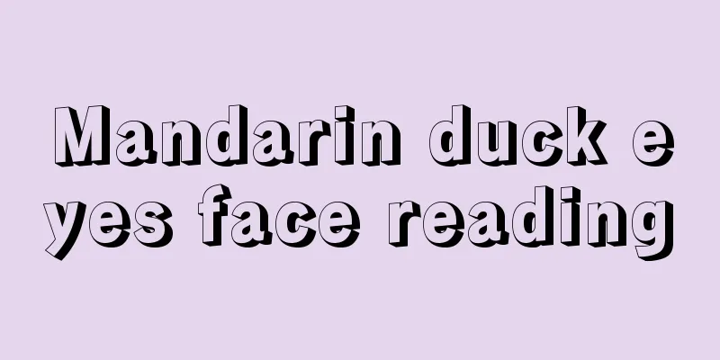 Mandarin duck eyes face reading