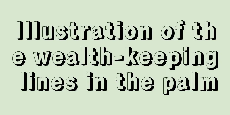 Illustration of the wealth-keeping lines in the palm