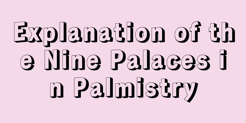 Explanation of the Nine Palaces in Palmistry