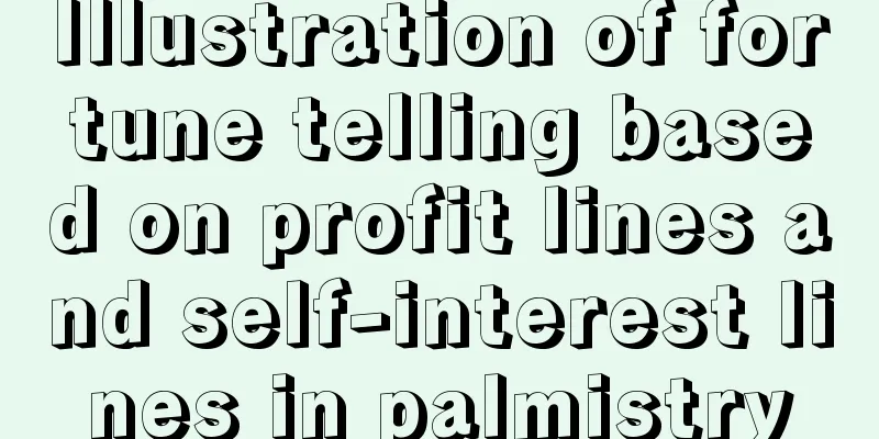 Illustration of fortune telling based on profit lines and self-interest lines in palmistry