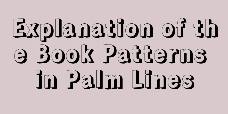 Explanation of the Book Patterns in Palm Lines