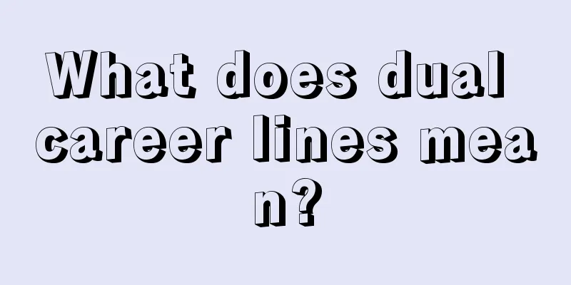 What does dual career lines mean?