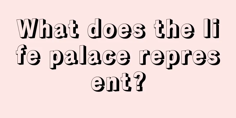 What does the life palace represent?