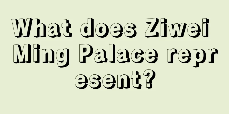 What does Ziwei Ming Palace represent?