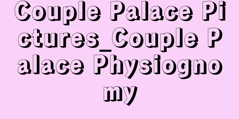 Couple Palace Pictures_Couple Palace Physiognomy