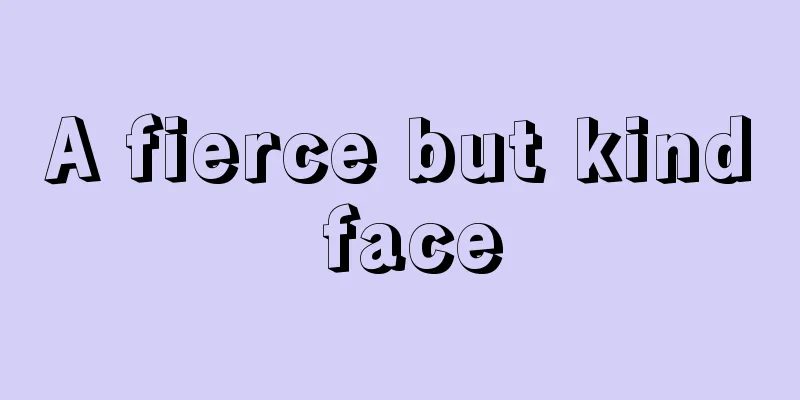 A fierce but kind face