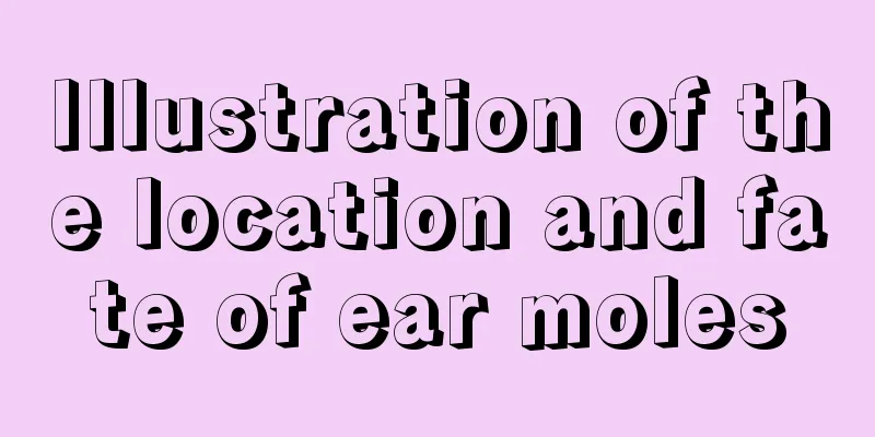 Illustration of the location and fate of ear moles