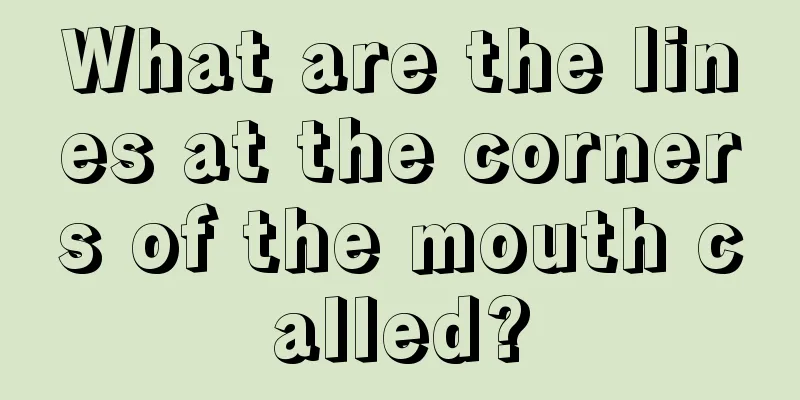 What are the lines at the corners of the mouth called?