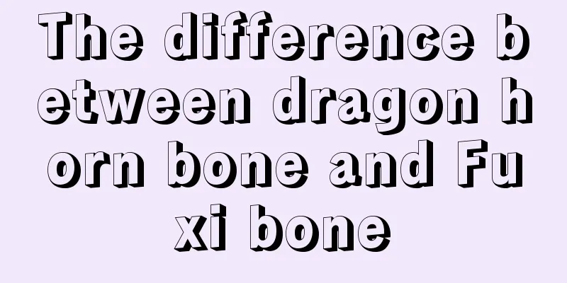The difference between dragon horn bone and Fuxi bone