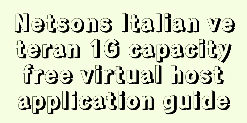 Netsons Italian veteran 1G capacity free virtual host application guide