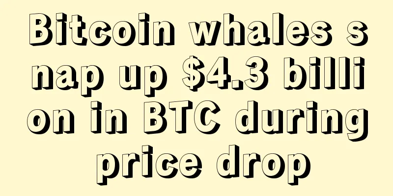 Bitcoin whales snap up $4.3 billion in BTC during price drop