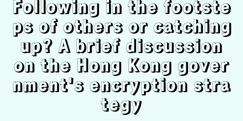 Following in the footsteps of others or catching up? A brief discussion on the Hong Kong government's encryption strategy