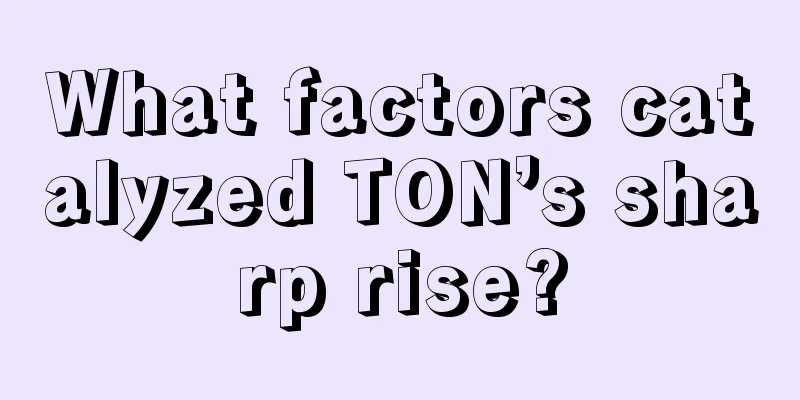 What factors catalyzed TON’s sharp rise?