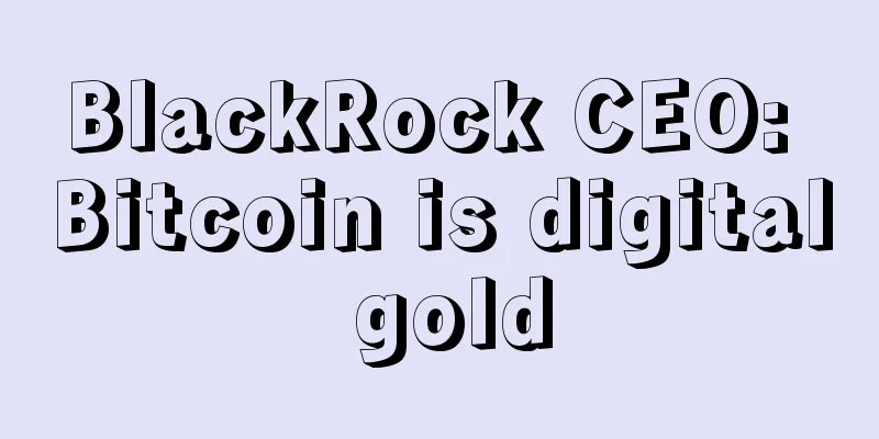 BlackRock CEO: Bitcoin is digital gold