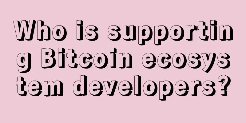 Who is supporting Bitcoin ecosystem developers?