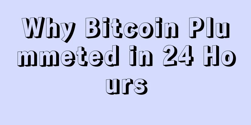 Why Bitcoin Plummeted in 24 Hours