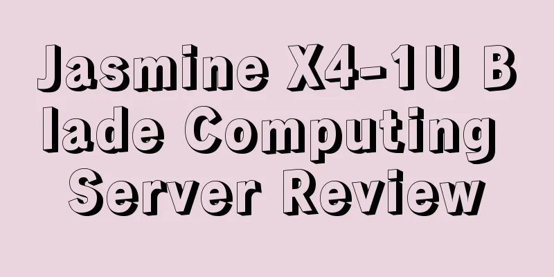 Jasmine X4-1U Blade Computing Server Review