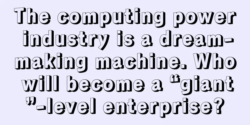 The computing power industry is a dream-making machine. Who will become a “giant”-level enterprise?
