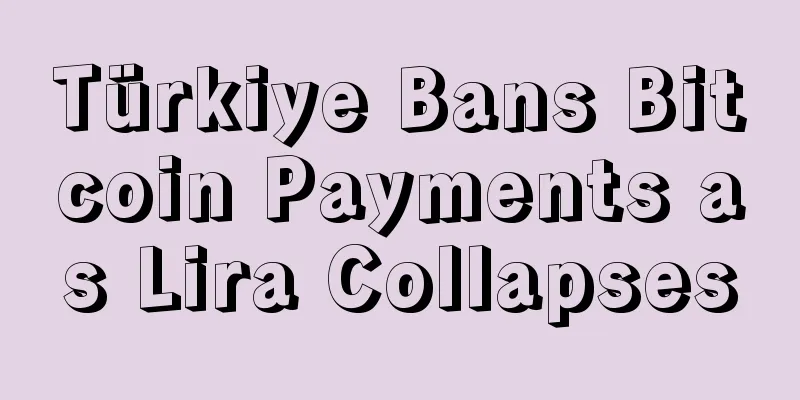 Türkiye Bans Bitcoin Payments as Lira Collapses
