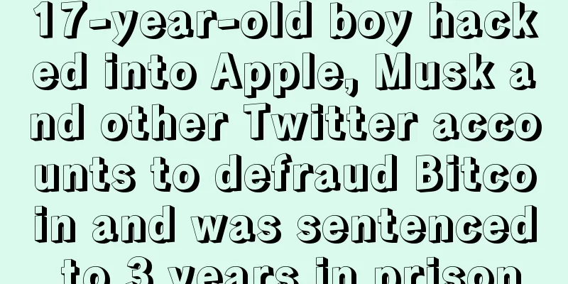 17-year-old boy hacked into Apple, Musk and other Twitter accounts to defraud Bitcoin and was sentenced to 3 years in prison
