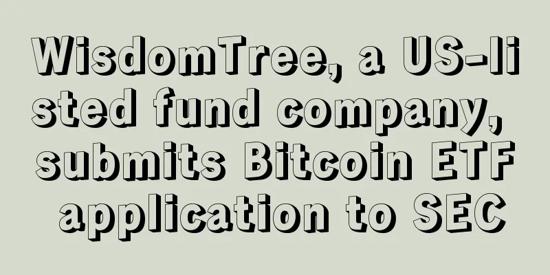 WisdomTree, a US-listed fund company, submits Bitcoin ETF application to SEC