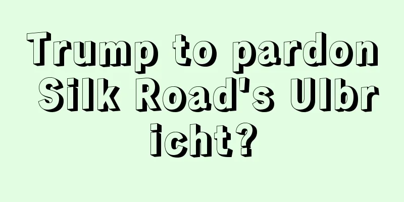 Trump to pardon Silk Road's Ulbricht?