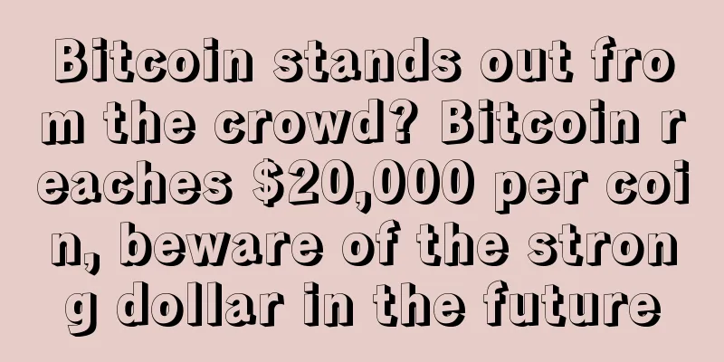 Bitcoin stands out from the crowd? Bitcoin reaches $20,000 per coin, beware of the strong dollar in the future