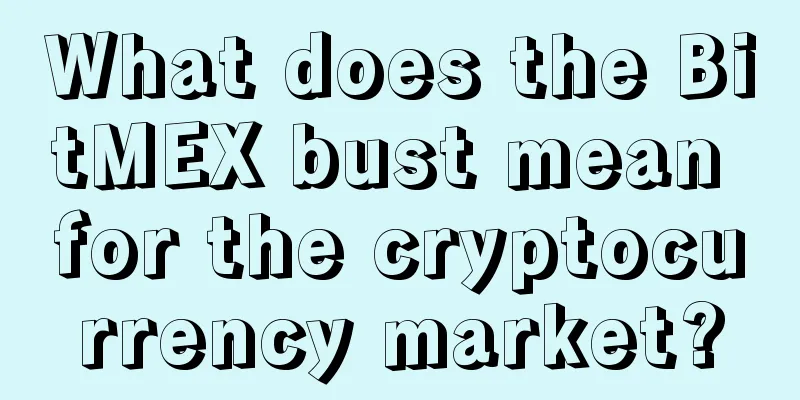 What does the BitMEX bust mean for the cryptocurrency market?